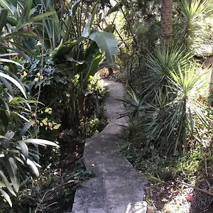  Konukevi Casa Simba (adults Only) İspanya